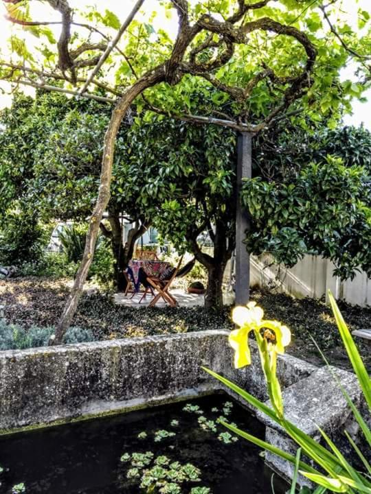 Pateo Da Memoria Casa Do Pintor Villa Quinta do Anjo Exterior foto